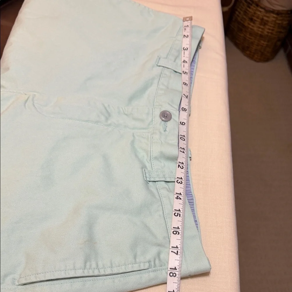 J. Crew Men's Pastel Green Flat-Front Cotton Chino 9” Shorts, Size 36.